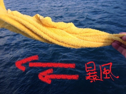 写真_1.JPG