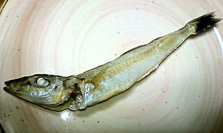 120220_1810~010001.jpg