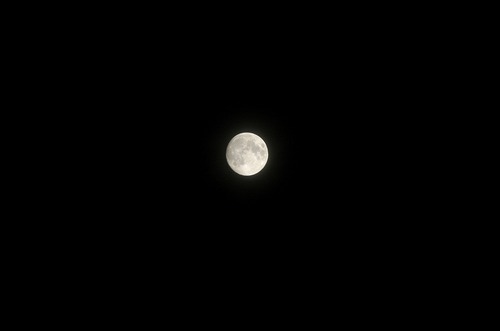 DSC_0025.jpg