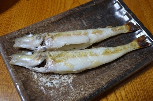 DSC_0142.jpg
