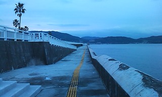 大波止ガラ.jpg