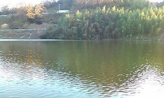 dam1.jpg